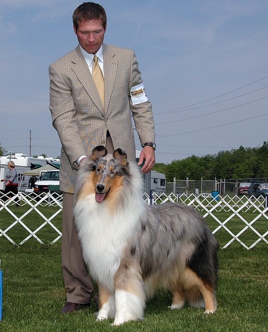 Homepage of Alfenloch Rough Collies & Collie puppies, Ontario, Canada